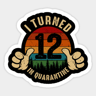 I Turned 12 In Quarantine Sticker